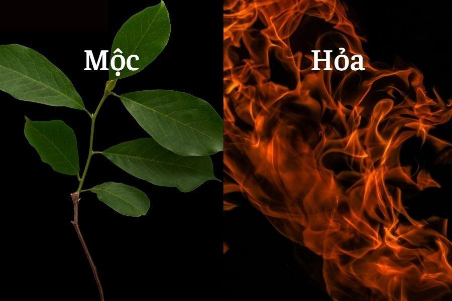 Mộc sinh Hỏa trong phong thủy phương Đông
