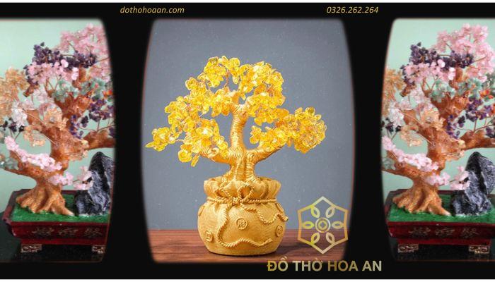 Cây tài lộc Đá Phong Thủy là gì