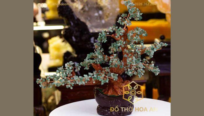 Vị trí đặt cây
