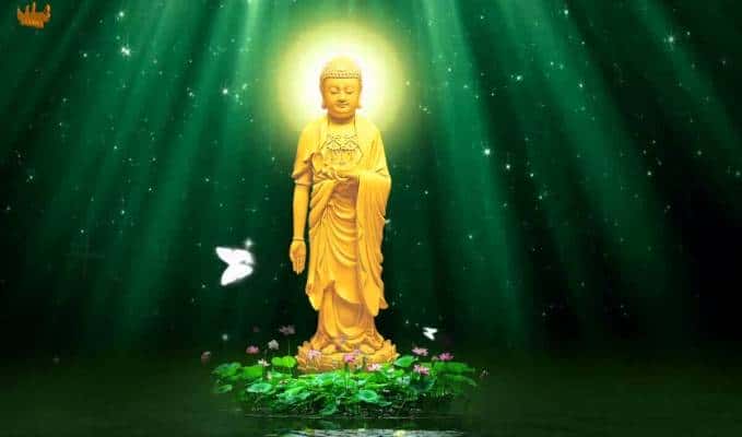 Loi-Phat-day-ve-cuoc-song-an-nhien
