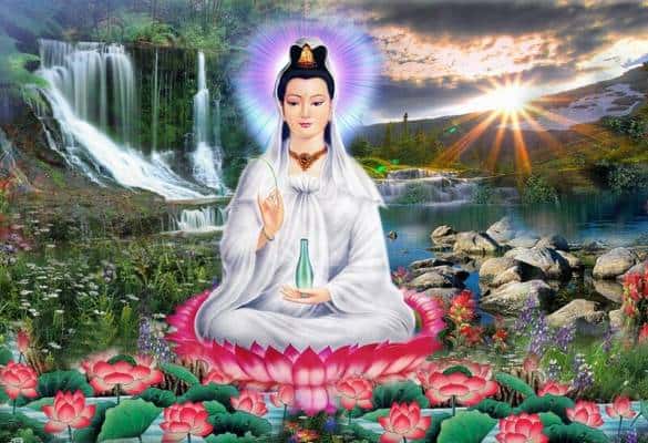 chu-dai-bi-7-bien-co-chu-doc-nhanh-anh-dai-dien
