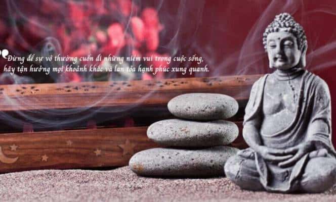 loi-phat-day-ve-cuoc-song-vo-thuong-anh-dai-dien