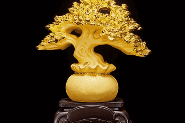 Cây Vàng Kim Tiền Chiêu Tài
