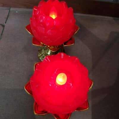Đèn Hoa Sen Dùng Pin1