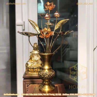 Bó Hoa Sen 11 Cành Đồng Đài Loan Cao 70cm