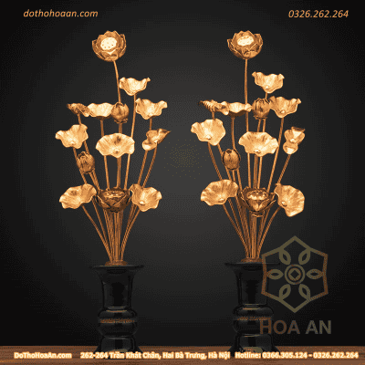 Hoa Sen Đồng 11 Cành Đài Loan