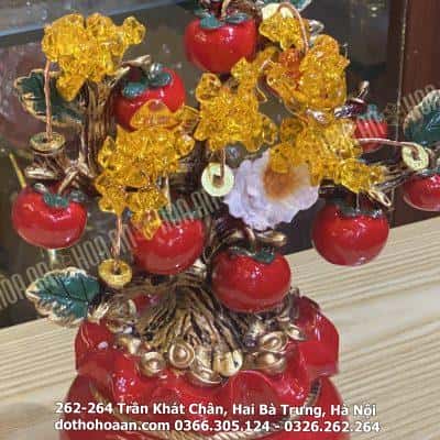 Cây Tài Lộc Túi Tiền Đỏ