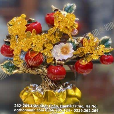 Cây Tài Lộc Túi Tiền Vàng