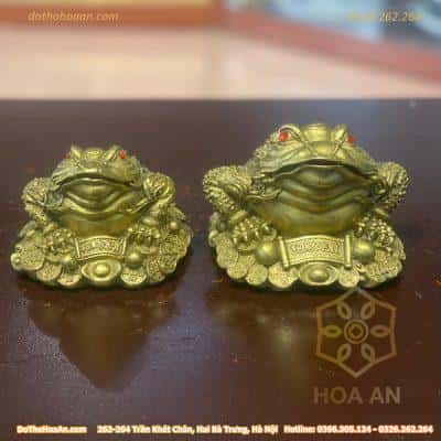 Cóc, Thiềm Thừ Đồng Đứng Trên Dải Tiền1