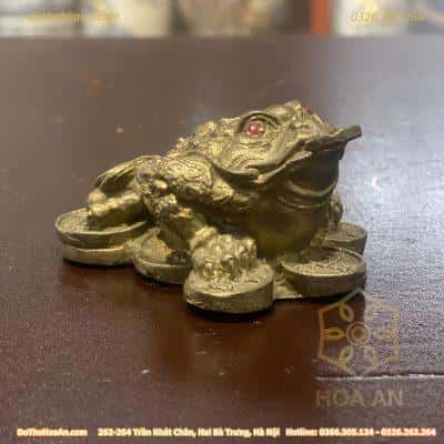 Cóc Thiềm Thừ Đồng Ngồi Trên Dải Tiền