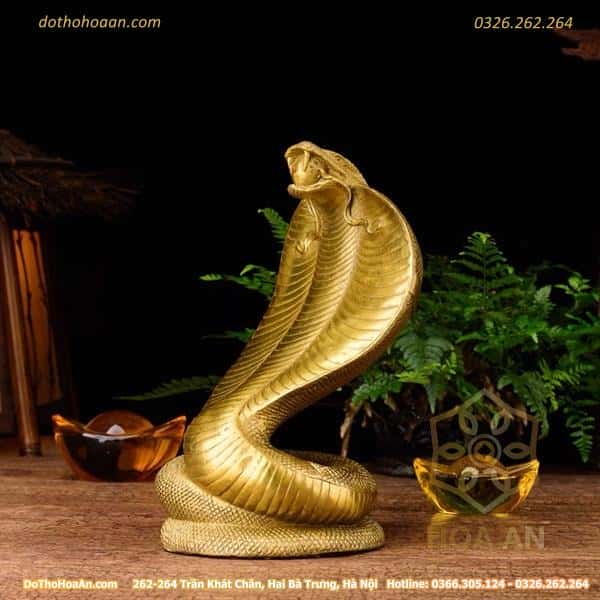 Rắn Đồng Phong Thủy Rắn Đồng Phong Thủy