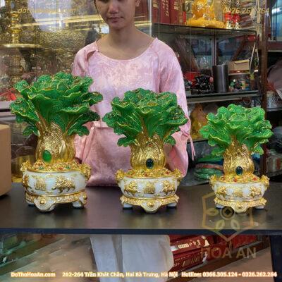 Bảo Bồn Tụ Của Cải Dát Vàng