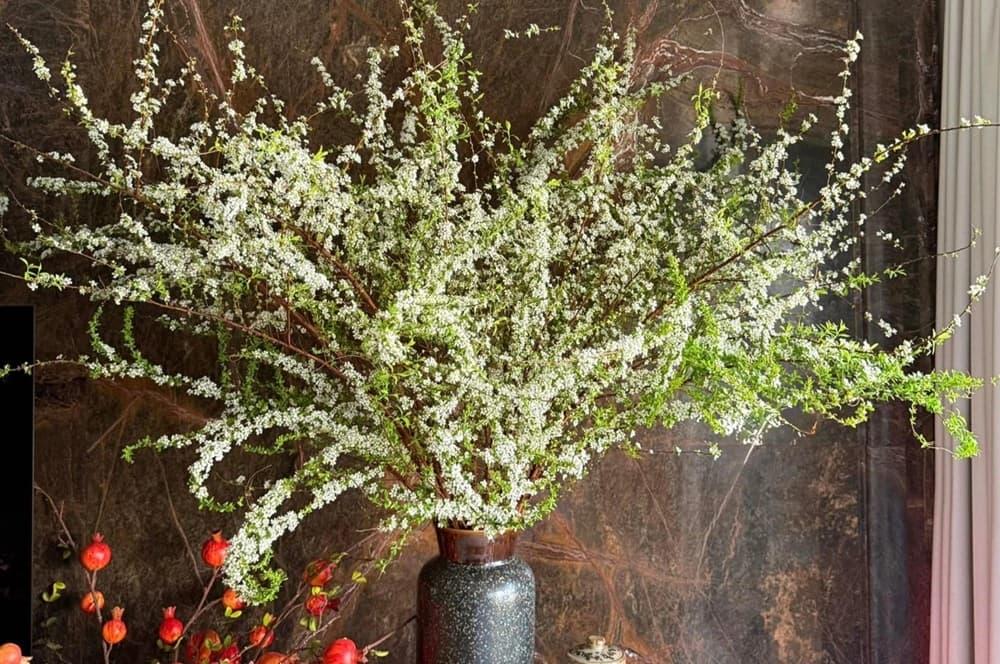Trang trí hoa và cây cảnh trong nhà để chiêu tài