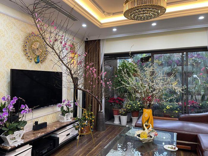 Trang trí phòng khách thu hút tài lộc ngày Tết